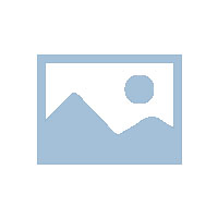 氢燃料电池系统氢电安全控制综述